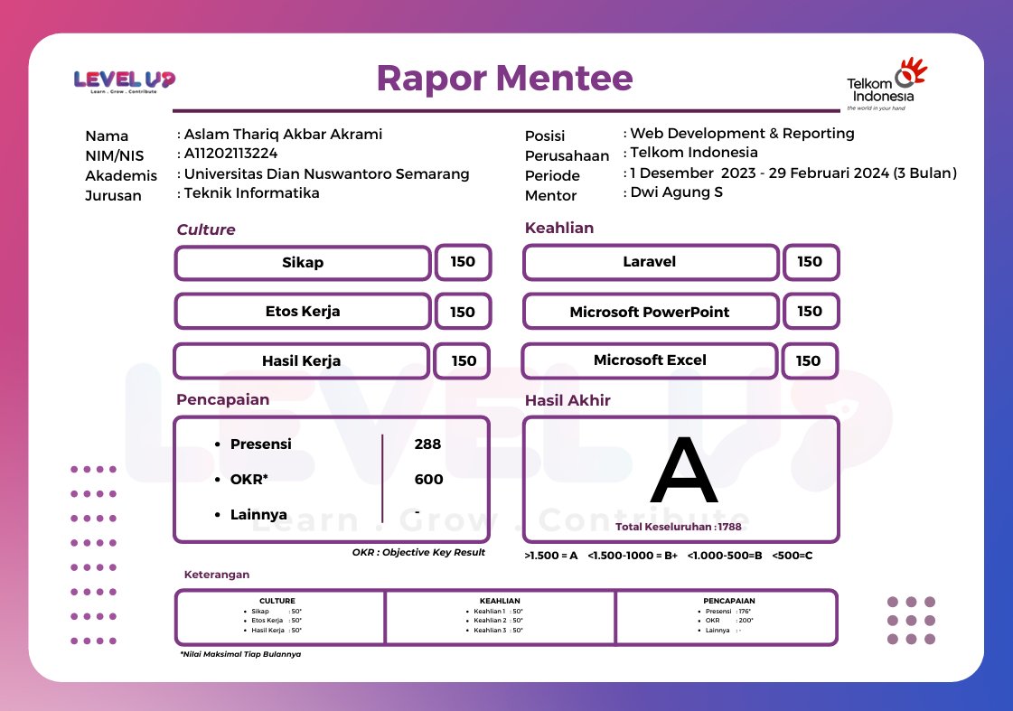 Web Development & Reporting