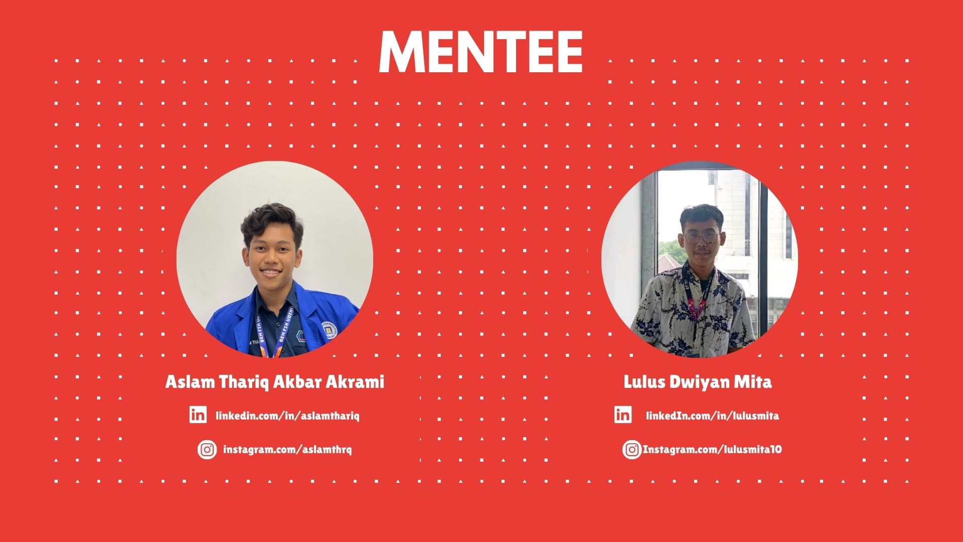 Web Development & Reporting